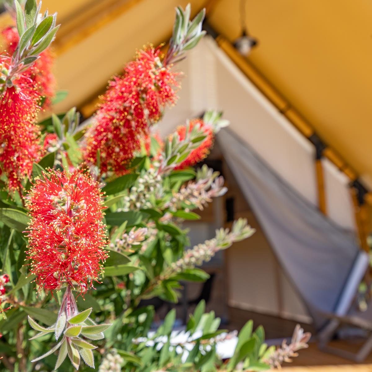 Early Booking - 20 % sparen im Camp Dole